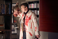 Castle – die komplette erste Staffel