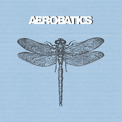 Aerobatics: Fidelity