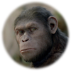 Planet der Affen: Prevolution (Rupert Wyatt)