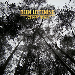 Johnny Flynn: Been Listening