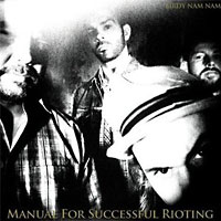 Birdy Nam Nam: Manual for successful Rioting