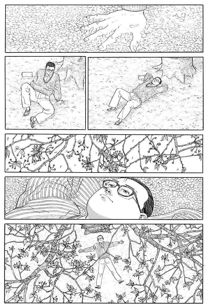 Jiro Taniguchi: Der spazierende Mann