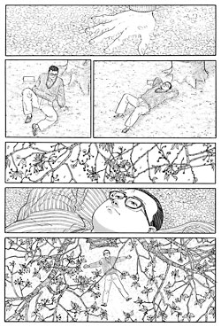 Jiro Taniguchi: Der spazierende Mann