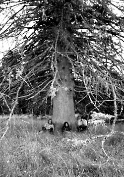 Wolves In The Throne Room Live In Munster