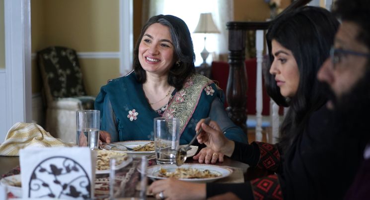 The Big Sick (Michael Showalter)