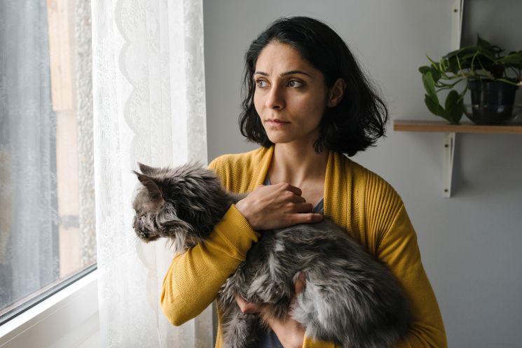 Die defekte Katze (Susan Gordanshekan)