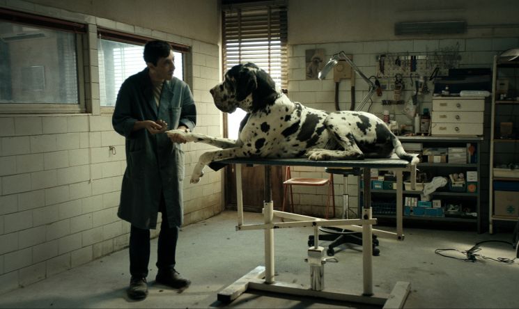 Dogman (Matteo Garrone)