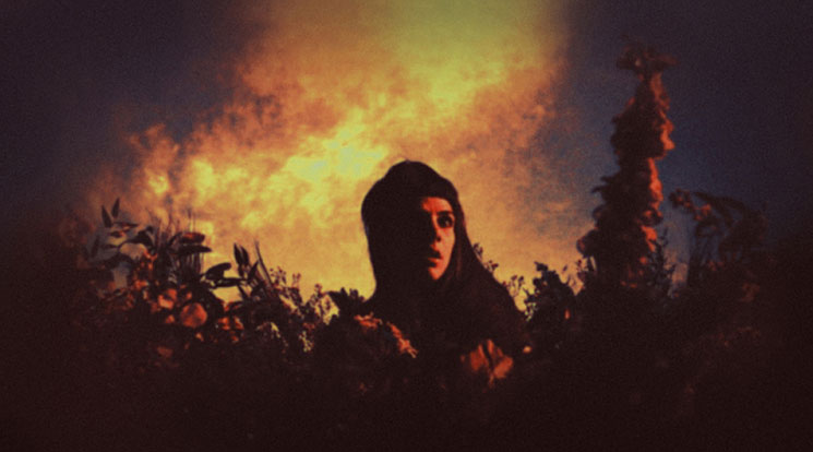 The Forbidden Room (Guy Maddin & Evan Johnson, Forum)