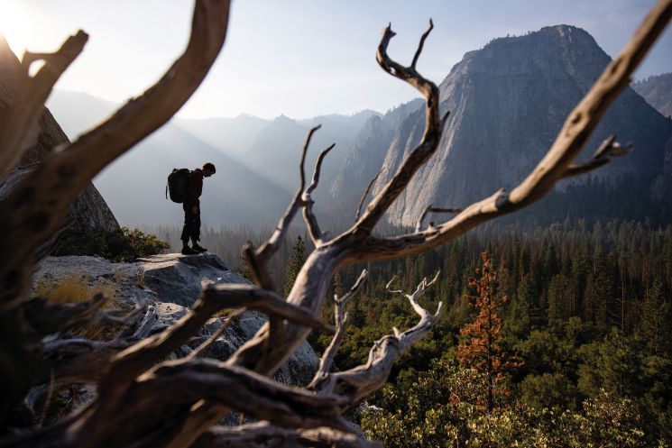 Free Solo (Jimmy Chin & Elizabeth Chai Vasarhelyi)