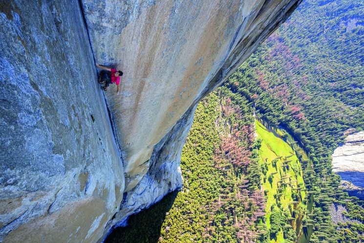 Free Solo (Jimmy Chin & Elizabeth Chai Vasarhelyi)