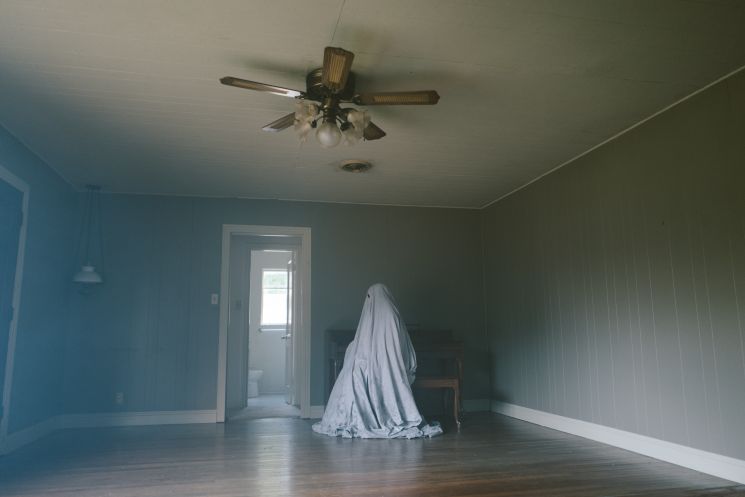 A Ghost Story (David Lowery)