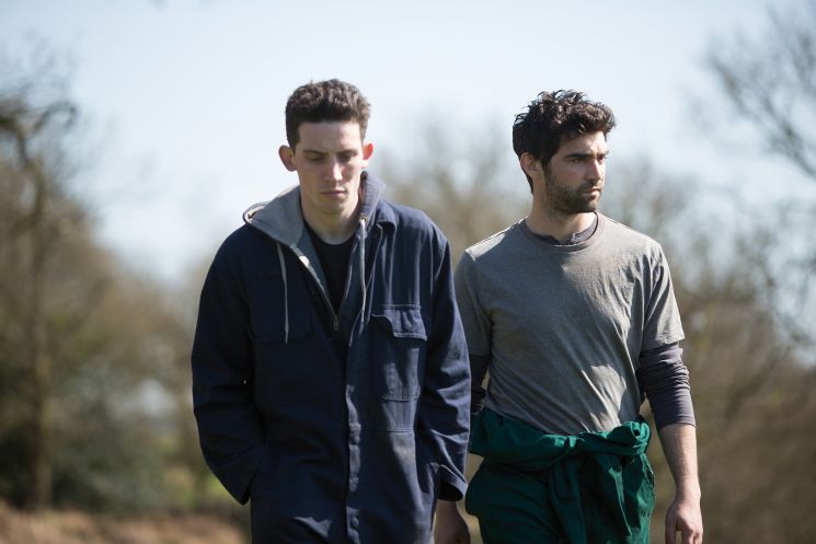 God's Own Country (Francis Lee)