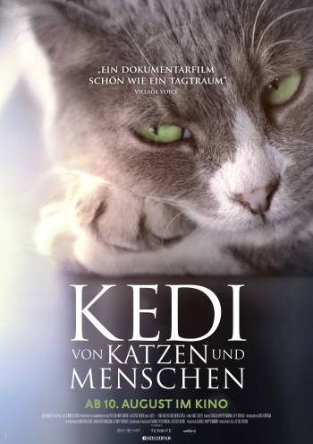 Kedi - Von Katzen und Menschen (Ceyda Torun)