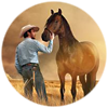The Rider (Chlo» Zhao)