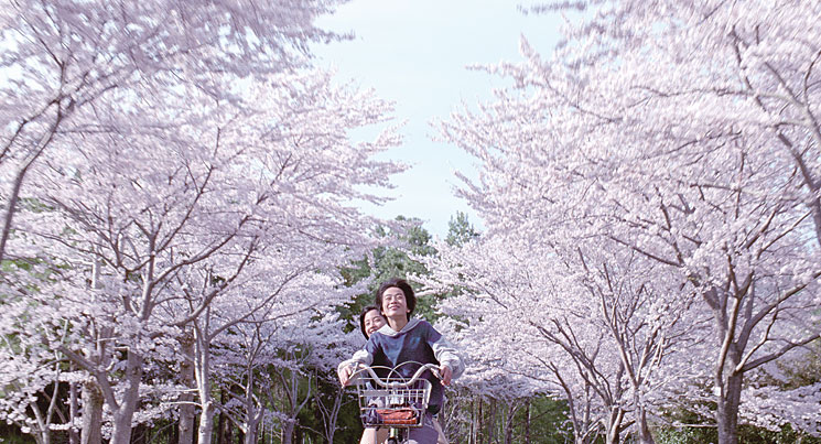 Unsere kleine Schwester (Hirokazu Kore-Eda)