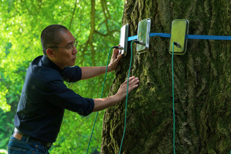 Silent Friend (Ildik&oacute; Enyedi)