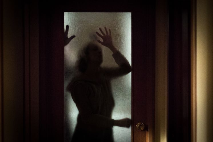 The Grudge (Nicolas Pesce)