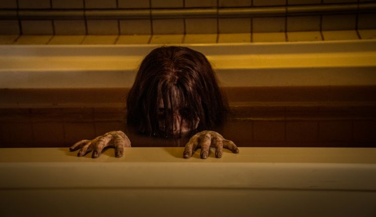The Grudge (Nicolas Pesce)