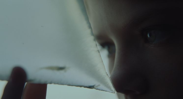 The Lodge (Severin Fiala & Veronika Franz)