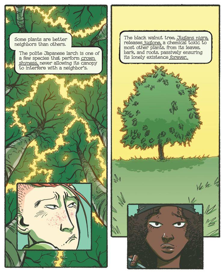 Swamp Thing: Twin Branches GN