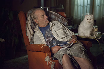 St. Vincent (Theodore Melfi)
