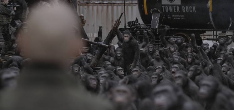 Planet der Affen: Survival (Matt Reeves)