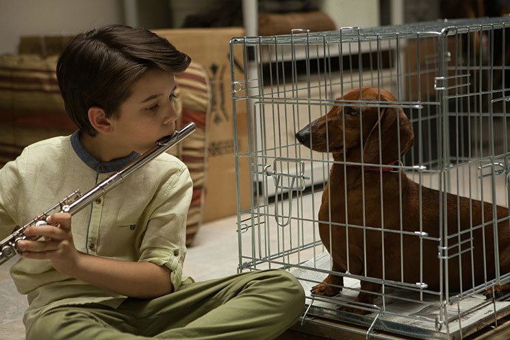 Wiener Dog (Todd Solondz)