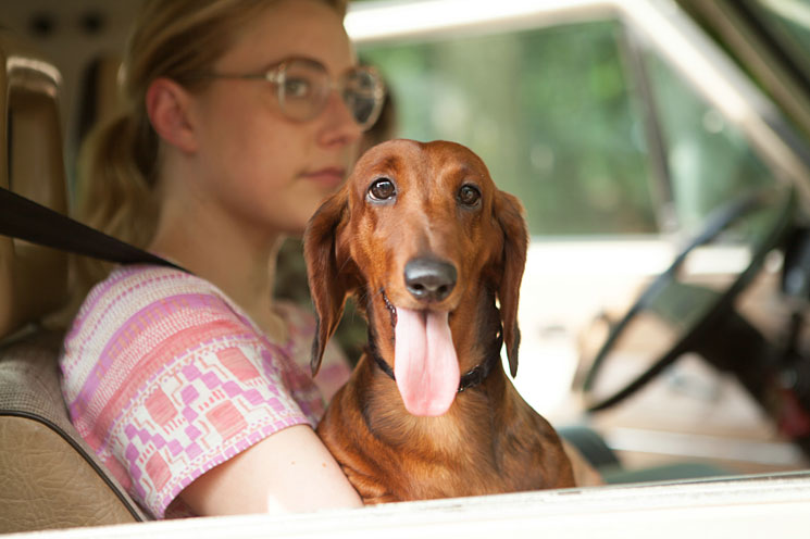 Wiener Dog (Todd Solondz)