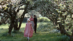 Bright Star - Meine Liebe. Ewig. (R: Jane Campion)